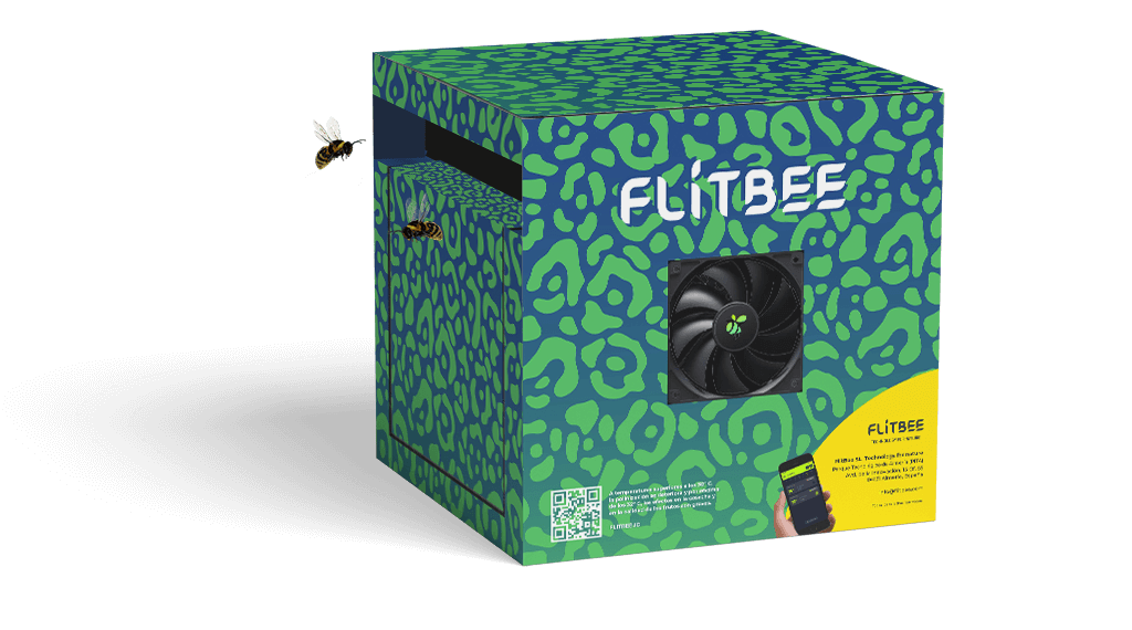 box-flitbee